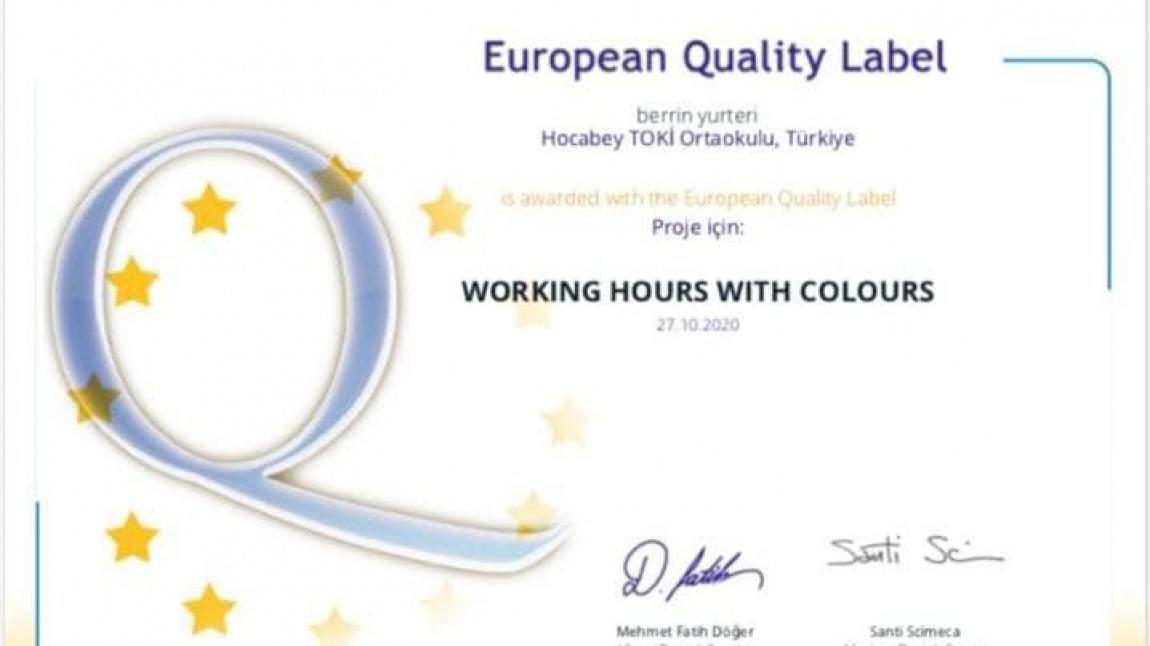 e-Twinning Projesinde Avrupa Kalite Etiketi Aldık.